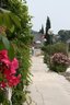 gal/cro 08/_thb_small-IMG_4597.JPG